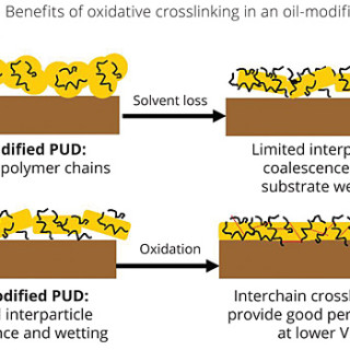 Benefits of oxidative crosslinking in an oil-modified polyure-thane resin.