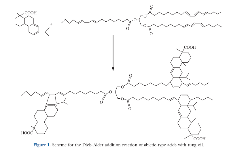 Figure 1. Scheme for the Diels-Alder addition reaction of abietic-type acids with tung oil.