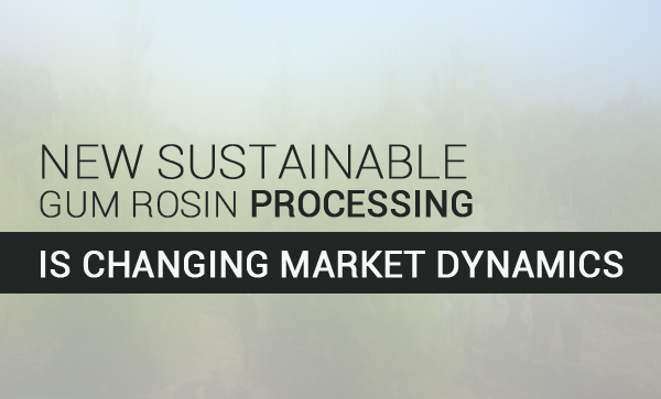 New Sustainable Gum Rosin Processing is Changing Market Dynamics