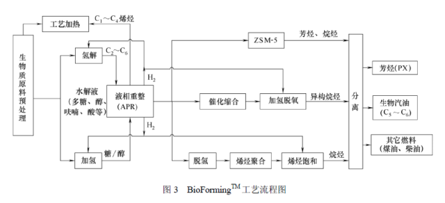 Figure 3. Process chart of BioForming