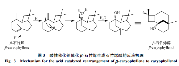 Fig3 Mechanism for the acid catalyzed rearrangement of beta-caryophyllene to caryophyllenol